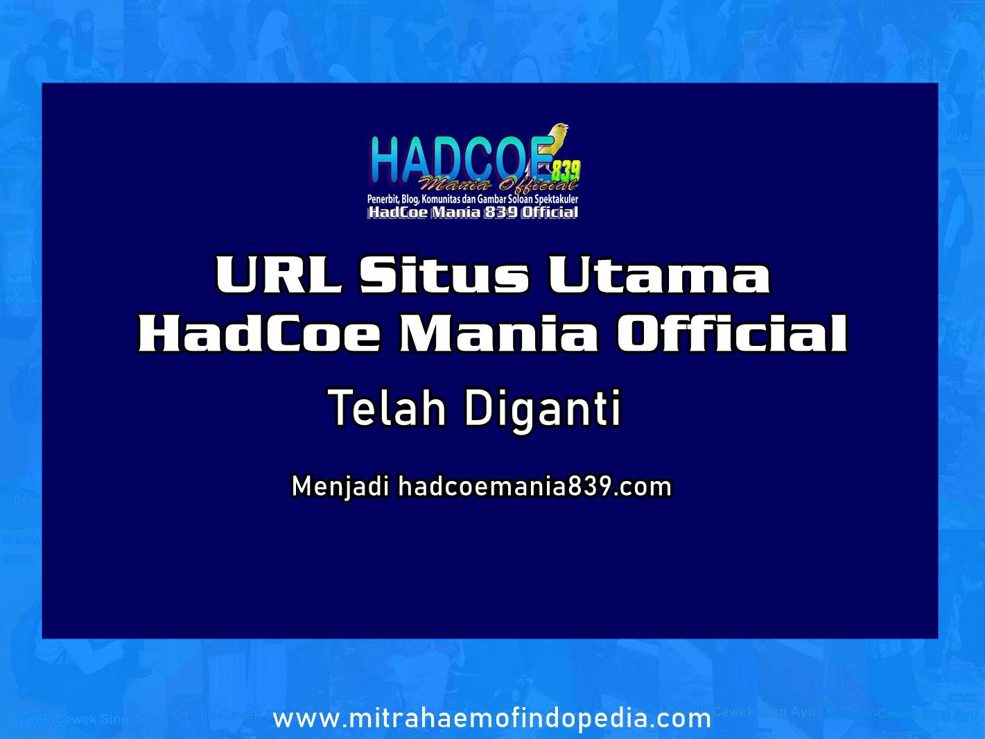 URL Situs Utama HadCoe Mania Official Telah Diganti Menjadi ...